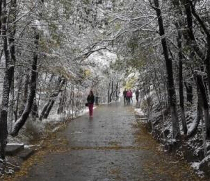 �ຣ����ѩ��������������������