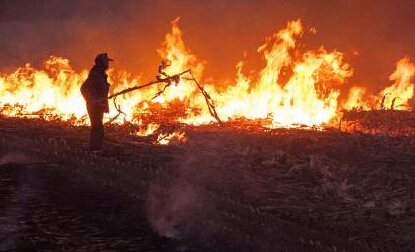 ��������������ջġ�Ũ�̹�����