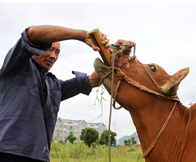 �㽭�񻷼�����ι��ţ ����������족