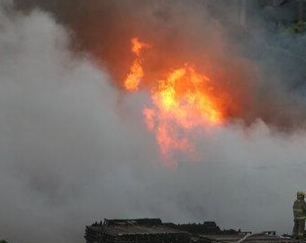 ����һ��ֽ���ֿ���� �ѳ���31����������