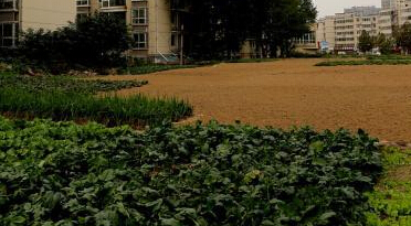 ֣���������֡�����ũ������