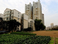 ֣���������֡�����ũ������