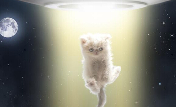 �ɰ������˱�ps�����ֻ������������Ρ�