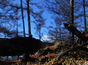 �������ﰢ��ɽ��