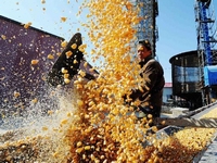 ��Ƽ�����ũ�������������������ա�