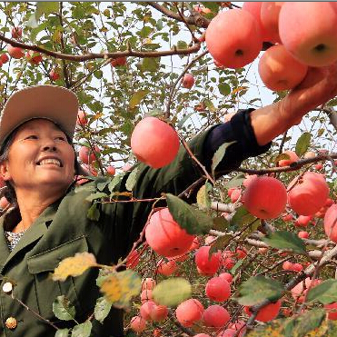 �±�ƻ����ͮͮ��