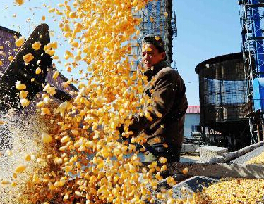 ��Ƽ�����ũ�������������������ա�