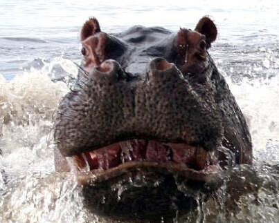 ʵ�ķ�ŭ�ĺ�����㤱��� Ϊ�������ӹ�����ֻ��