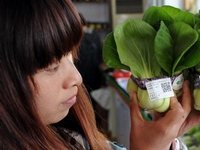 �ӱ���������ά���߲���������