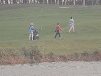 �������ﳾ���������Ϯ��