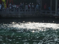 ������ͻȪˮλ��2013��ͬ�ڵ�80���ס�