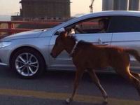 Ů���ڴ����Ͽ�������������5�죨��ͼ����