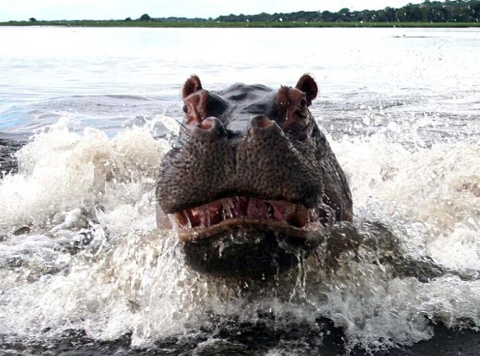 ʵ�ķ�ŭ�ĺ�����㤱��� Ϊ�������ӹ�����ֻ��