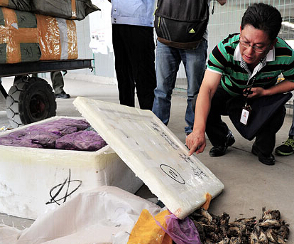 �㶫����Ƿ����Ժ��� �ս�Ұ������������5��ֻ��