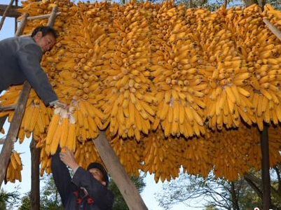 ������ˮ�����׷�����ɹ �����������ƽ�ס���