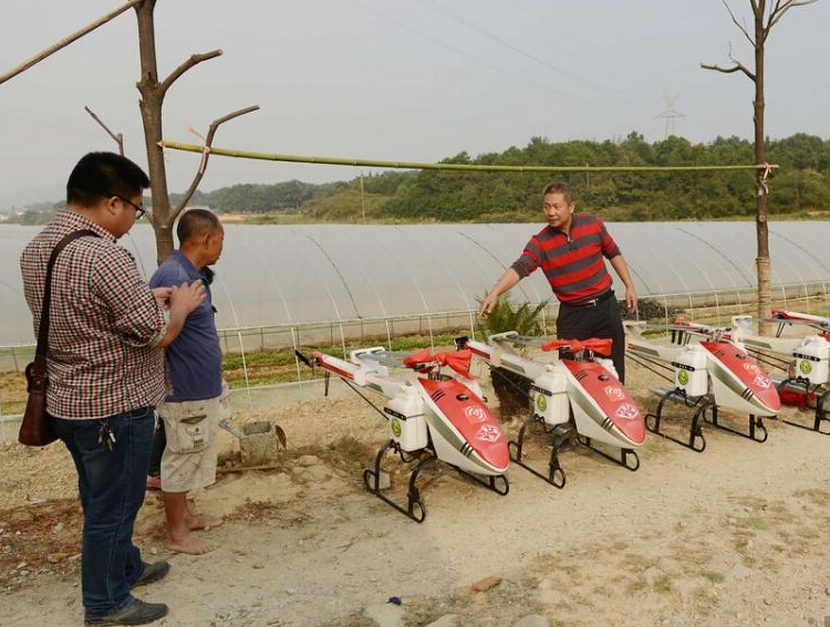 ���ϳ�ɳ��ũ�������ɻ��ֲˡ�