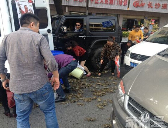 ��ɳ�����β����з���������� �����ӱ�·�����⡱