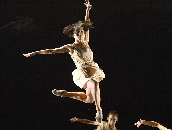 ������������������Ʒ��Ұ�ݡ�����Ԥ�ݡ�