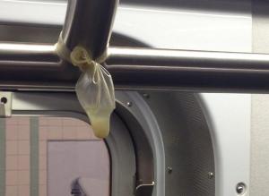 ŦԼ�������־��֡��ù��ġ���ȫ�ס�