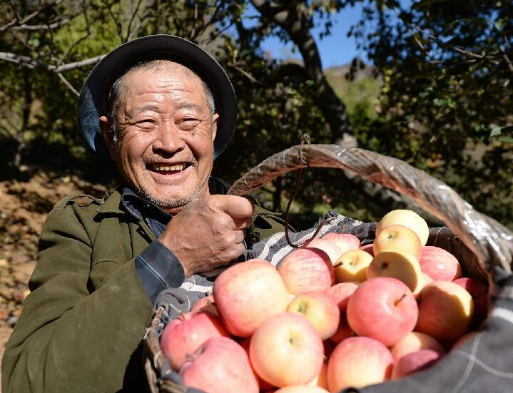 ��ɽ����ƻ���족