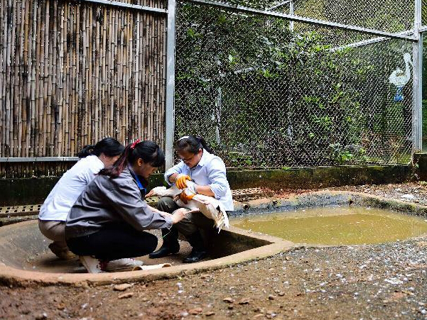 ���أ���80����Ů��ҽ��