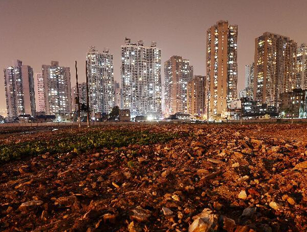 �Ϻ����Ҷɵؿ�248��Ԫ���ơ�