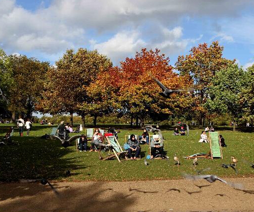 伦敦秋意渐浓”