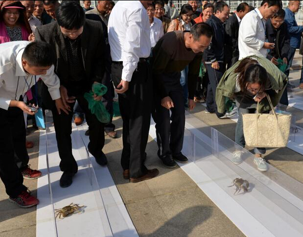 江苏举办螃蟹趣味运动会”