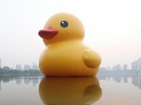 ���Ѽ���Ρ����Ͼ�Ī�����