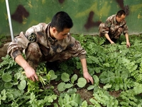 ���ر�վ������36���ϱ�̸���������Ĵ�仯��