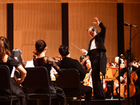 ����ԭ��������衶������Ի͡�ְ���ݳ����ڹ�ͼ�����������ݡ�