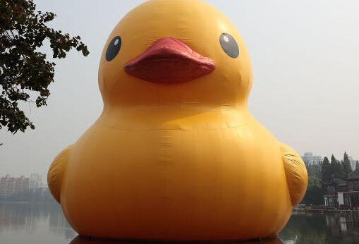 ���Ѽ�����Ͼ��ȶ����ꡱ