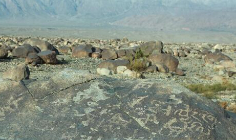 �½����ܷ��������»������ҿ̡�