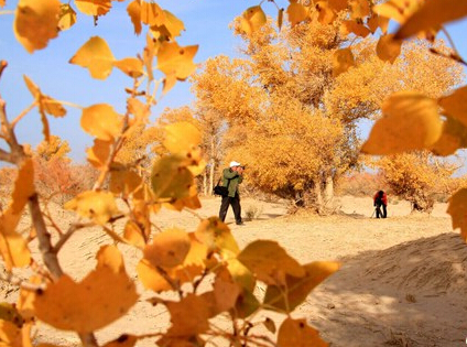 ����ػʹ�Į���������ŭ�š���