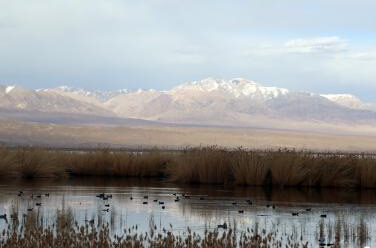 �ຣ��³�˺�������Ⱥˮ����Ϣ��