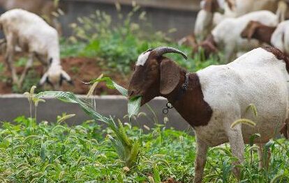 ���������½��칫¥�����ߡ� ����2�꼸�ɷ��򳡡�