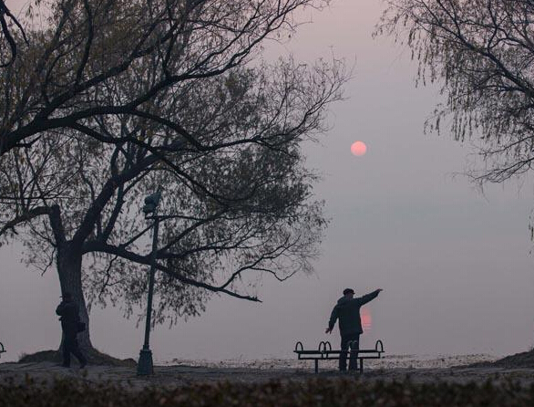 ���������������� ����ָ���ƽ�����������