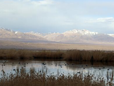 �ຣ��³�˺�������Ⱥˮ����Ϣ��