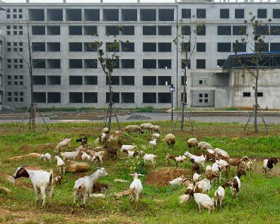 ���������½��칫¥�����ߡ� ����2�꼸�ɷ��򳡡�