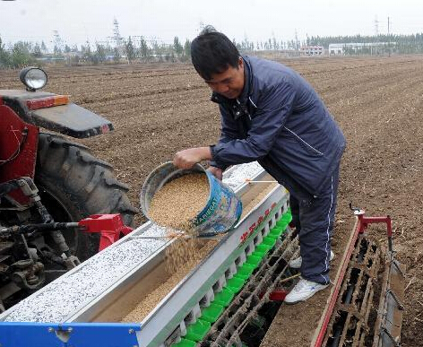 �ӱ�����С�����ʲ��֡�