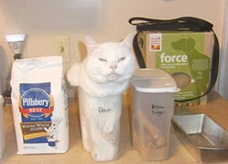 �ɰ�è���"����" ˮ�������Ҳ�ܲ�����