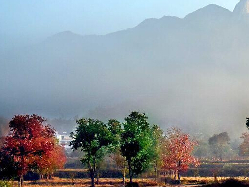 ��ɫ��Ⱦ���ɽ��