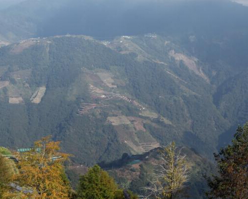 ̨���徳ũ����Ӱ��