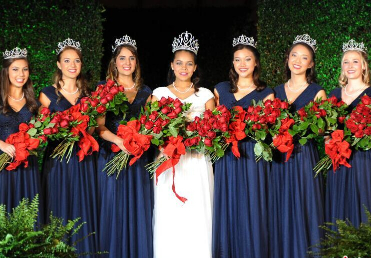 2015��������������õ��ʺ��¯��