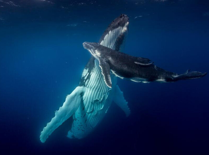 Ӣ�����Ӻ������㾨�㽻�䳡����