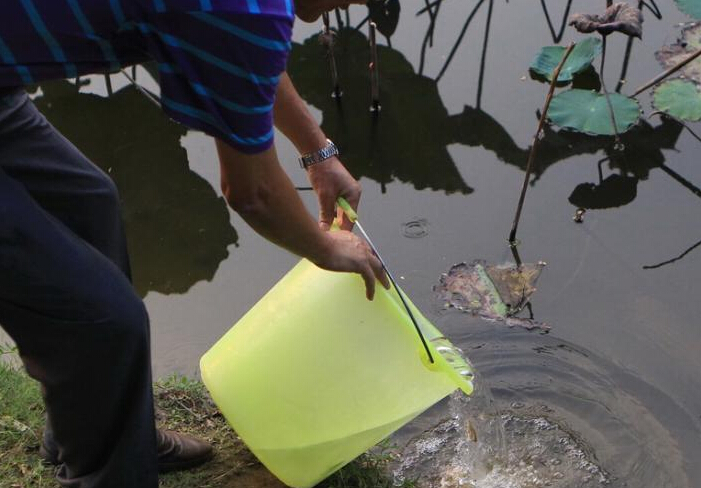 ����Ͷ��ǧ��ʳ�������� ���صǸ��ȡ�