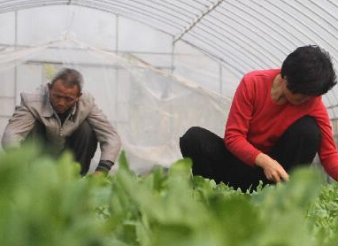 ˪���� ũ��æ��