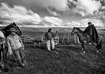 ��ͷ�е����������