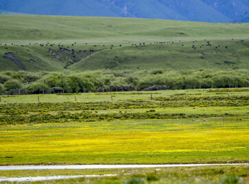 �������й���ɽ����������