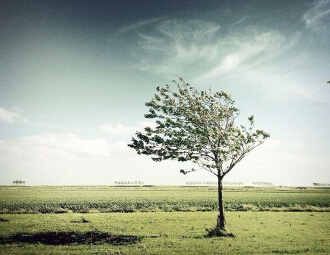 �����͵��ľ����羰��